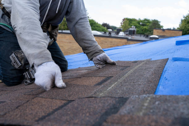 Best Roof Coating and Sealing  in Dunkirk, IN